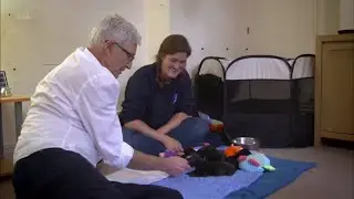Battersea Dogs and Cats Home names vet hospital after TV star Paul O'Grady (UK) 16/Oct/2023