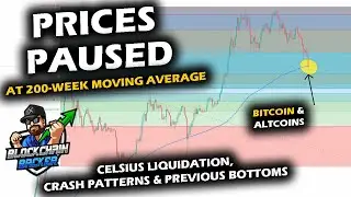 PRICES TAKE A BREATHER as Bitcoin Price Chart Pauses at 200-Week Moving Average, Altcoin Market ATH