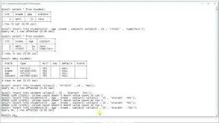 DML COMMANDS