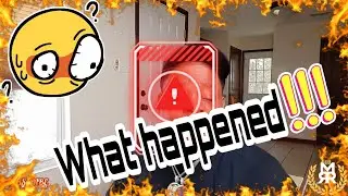 Animation vs Animator (Episode #1)(Reaction)
