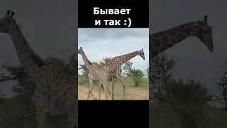 Бывает и так :) 