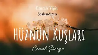 Hüznün Kuşları | Cemal Süreya (Şiir)