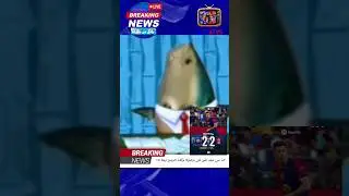 ⚽️أخبار عاجلة بأقل من دقيقة⚽️مع سمكة الأخبار #adamtv