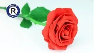 MODELING CLAY ROSE. HOW TO SCULPT A ROSE FROM MODELING CLAY? FLOWER. 