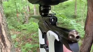 Planet Eclipse LVR Shooting