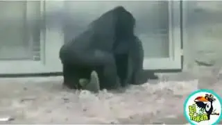 Cuado andan de novios