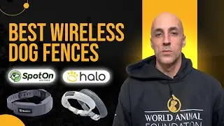Best Wireless Dog Fence: SpotOn vs Halo - Which One Is Better?