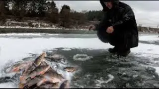 Окунь. Зимняя рыбалка.