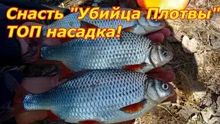 Лучшая оснастка для ловли КРУПНОЙ ПЛОТВЫ!!!