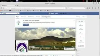 Deleting multuple posts from facebook page