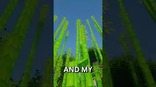 I Made Minecraft Ultra Realistic!