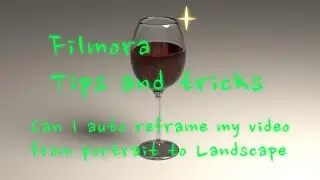 Can I auto reframe my video from portrait to landscape