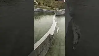 Frozen Flow: Icy Waters Cascading Down the Dam