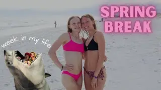 SPRING BREAK// beach days, zip lining, sand volleyball, etc!!
