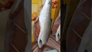 Как быстро и просто завялить рыбу в квартире