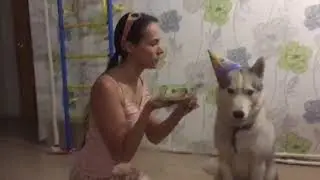 Ярису два года! Праздничный "торт" именинника!