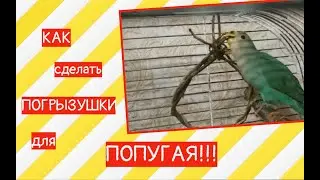 КАК сделать ПОГРЫЗУШКИ для ПОПУГАЯ ! Игрушка для попугая.