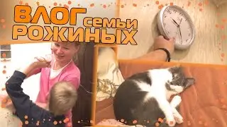 VLOG: ЩЕКОТАЛКИ С МАМОЙ, ВЕШАЕМ НА СТЕНУ ЧАСЫ, АЛИСКА ПОЛУЧИЛА ТРАВМУ ЛАПКИ. УКРАИНА КИЕВ
