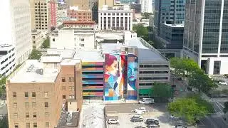 Downtown Jacksonville Aerial Adventure