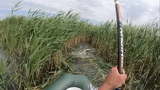 В лодку попали не все карпики.