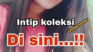 koleksi celana dalam bekas pakai || A collection of used panties