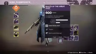RAID N CHILL (DESTINY 2  FOOLERY)