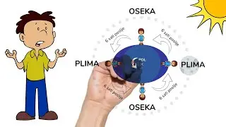 Kako nastaju plima i oseka?