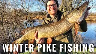 UK River Pike Fishing - Winter Lure Angling