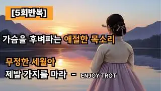[5회 반복] 가슴 시린 삶을 어루만지는 대금 명상 – 지친 하루의 끝, 마음의 쉼터가 되어드립니다