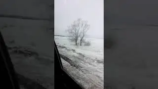 Сибирские просторы.