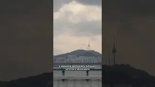 Семейный выходной 