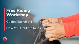 Guided Exercise 4 - Lines of Tension