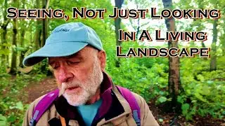 Seeing, Not Just Looking | In A Living Landscape