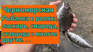 May fishing on the Sochi coast. 