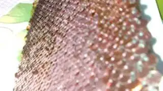 Мои ужасные рисунки