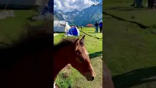 Jehaz banda katora lack kumrat nature explore pakistan latest video