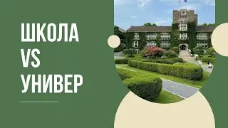школа vs университет