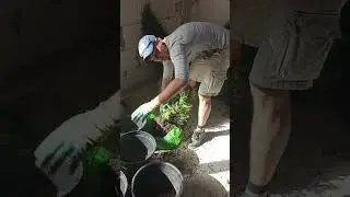 Ни дня без интересных фактов 👍