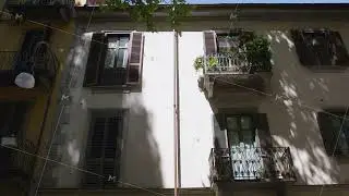 Urban balcony, leaves casting shadows on sunlit building