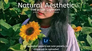 Natural Aesthetic | cara edit foto aesthetic di lightroom