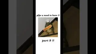pfps u need to have ! | part 9 