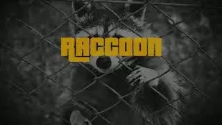 Dark Vocal Trap Beat - Raccoon (prod. Stebbes One)