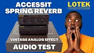 Bandive Accessit Spring Reverb (1983) - Audio Test