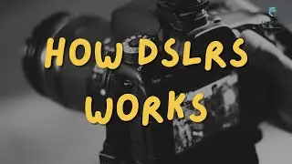 How DSLR Works ? | WizProPlus | Science | Technology | Camera |