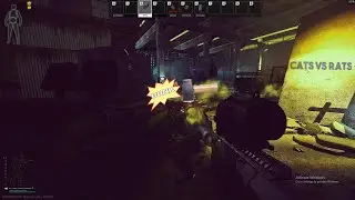 Tarkov- Cats Vs Rats