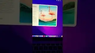 How to fix blank photoshop