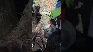 Абессинская в Воронеже. За три часа 12 метров.