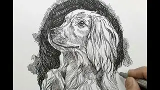 Pen and Ink - Cross Hatching Technique Demonstration.