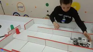 Цветной лабиринт
