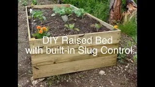 DIY Raised bed garden with built-in slug control